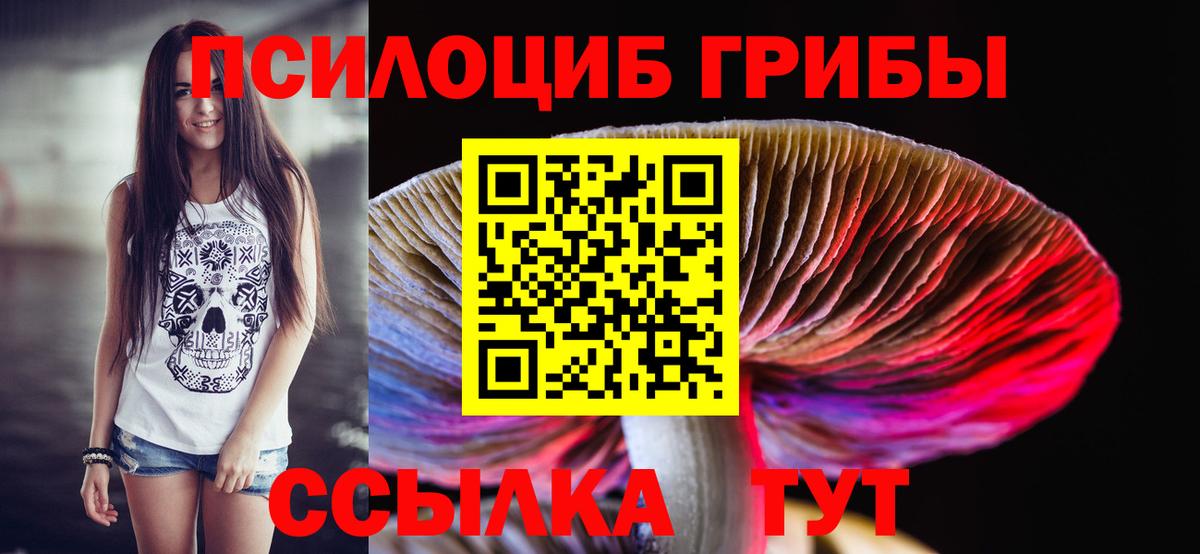 Псилоцибиновые грибы мицелий Родники